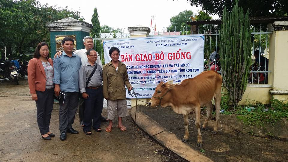 Hỗ trợ các hộ nghèo khuyết tật và trẻ mồ côi phát triển chăn nuôi trâu, bò giống trên địa bàn tỉnh